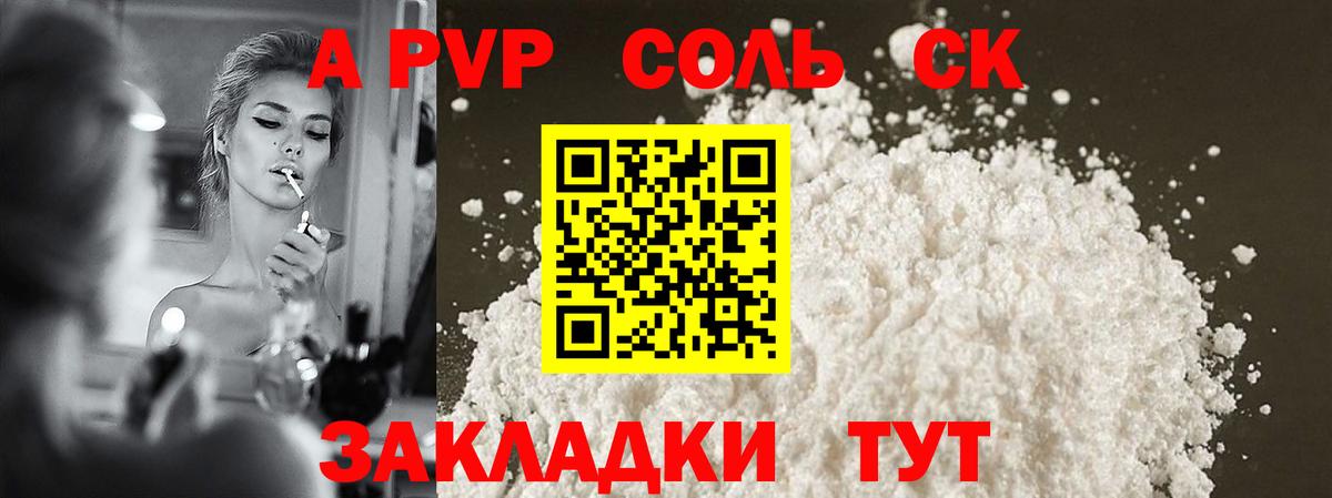 A PVP СК КРИС Алейск